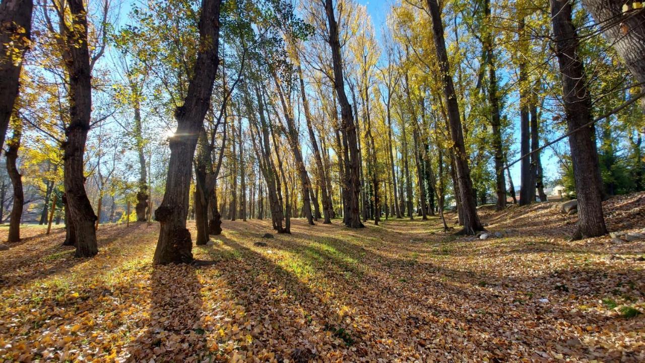 Casa Tia Maria Villa Navaluenga Dış mekan fotoğraf