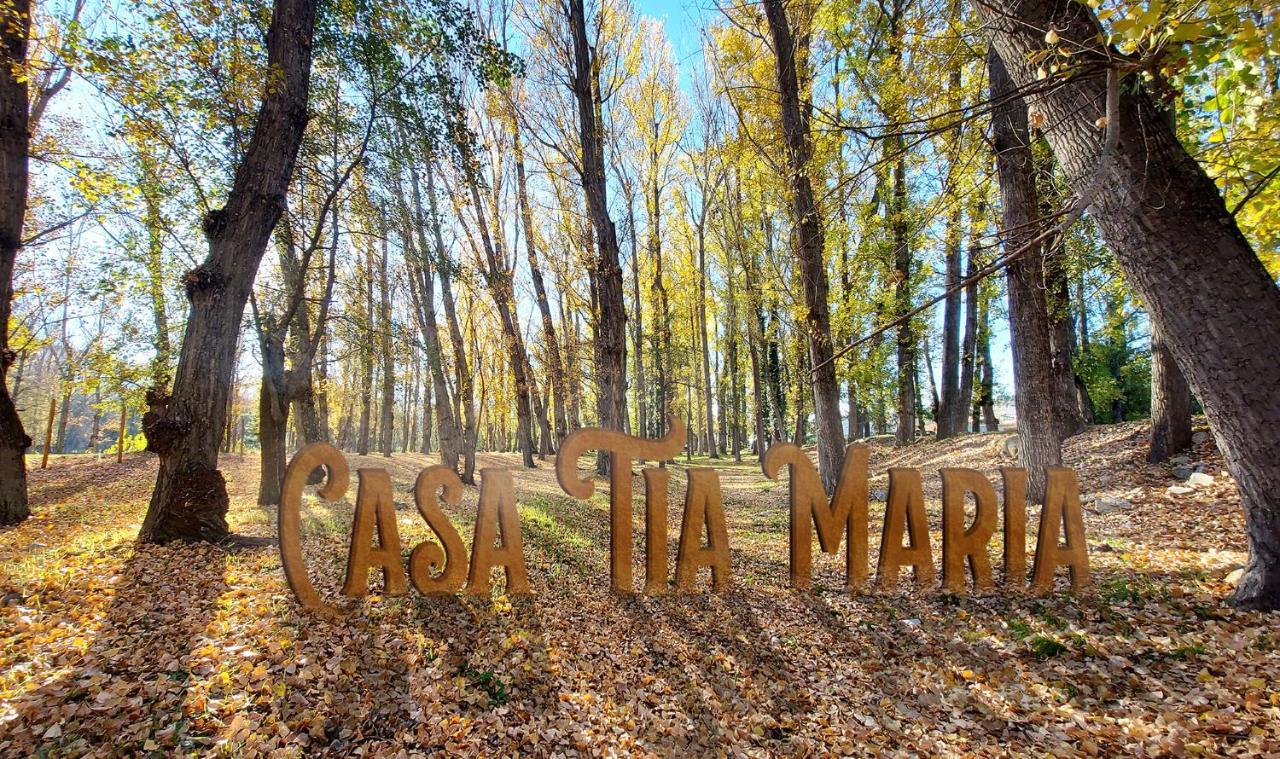 Casa Tia Maria Villa Navaluenga Dış mekan fotoğraf